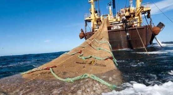 Sprechi e consumi di pesce sono insostenibili, 1 su 3 non arriva nel piatto. Parola dell’Onu