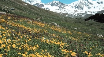 Alpi Apuane ecosistema delicato e a rischio