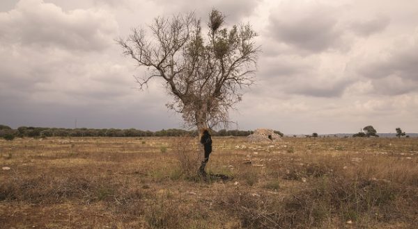 Un sequestro boomerang