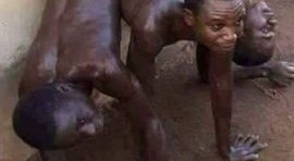 Mostrano le foto dei migranti al Papa ma sono fake: ecco la verità