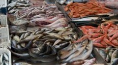 Il pesce spopola d’estate. Api: consumi in aumento, quelli allevati in Italia sono sani e sicuri
