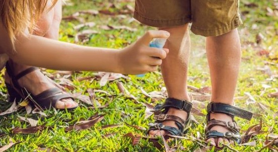 Repellenti per zanzare e insetti: obbligo di etichettatura e autorizzazione del ministero per tutti i prodotti in commercio