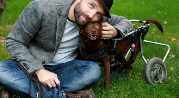 Una camminata per la pace degli animali