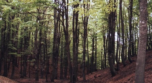 A Bologna con l’Half-Earth day