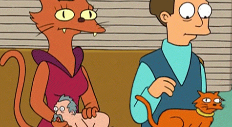 Sull’Affetto Per Gli Animali Domestici