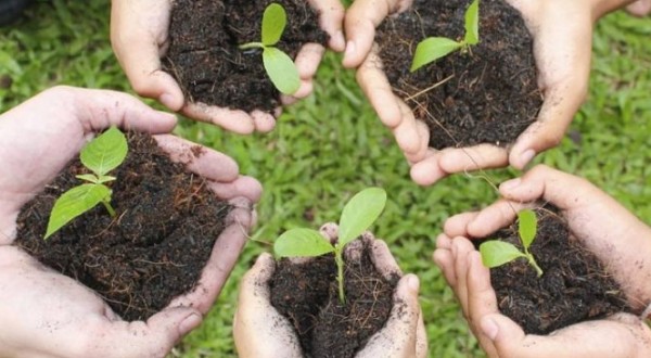 Le città italiane investono troppo poco per il verde pubblico