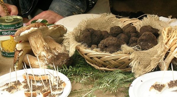Tartufo: 2018 annata abbondante con prezzi bassi