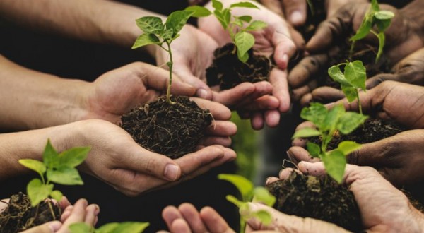 Eima 2018: Agricoltura di precisione – Accordo tra Confagricoltura e Topcon Agriculture