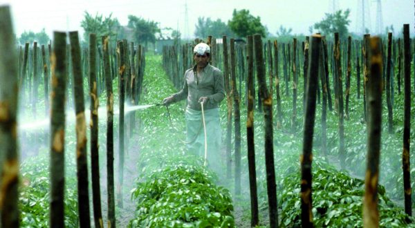 nuova regolamentazione per il sistema dell’industria alimentare
