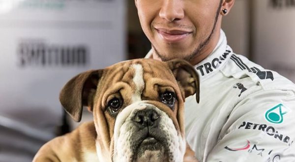 Hamilton ricorda la tanta crudeltà sugli animali