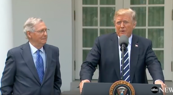 Who Could Stop Trump From Almost Doing Something Decent?