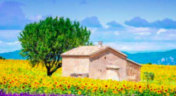 #salottoculturale – tema del mese di Gennaio 2019