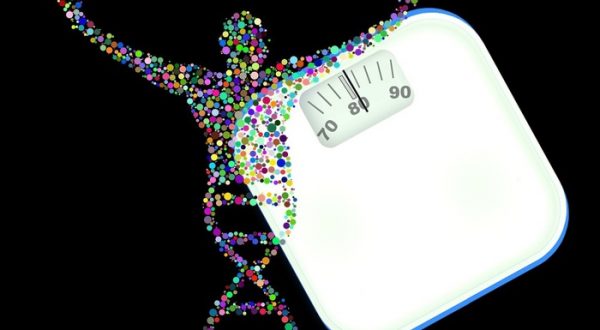 Chi distribuisce i chili di troppo nel nostro corpo?