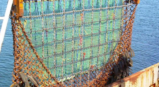 La pesca a impulsi elettrici sarà totalmente vietata ai pescherecci dell’UE