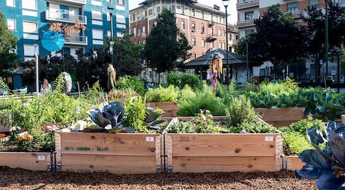 ‘Coltivacorti a scuola’ contest per gli istituti scolastici italiani che potranno inviare cortometraggi sulla creazione e cura di orti