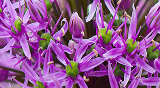 AccaddeOggi 26 Giugno 2019