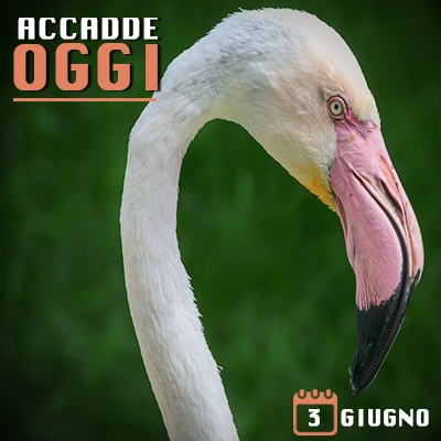 AccaddeOggi 3 Giugno 2019