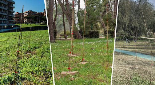 ‘Valorizzazione del patrimonio forestale pubblico attraverso la campagna Mosaico Verde. Gli enti pubblici si raccontano’