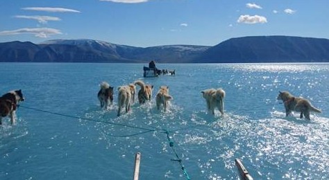 Guarda l’immagine più potente dello scioglimento dei ghiacci dell’ultimo periodo scattata da Steffen Olsen