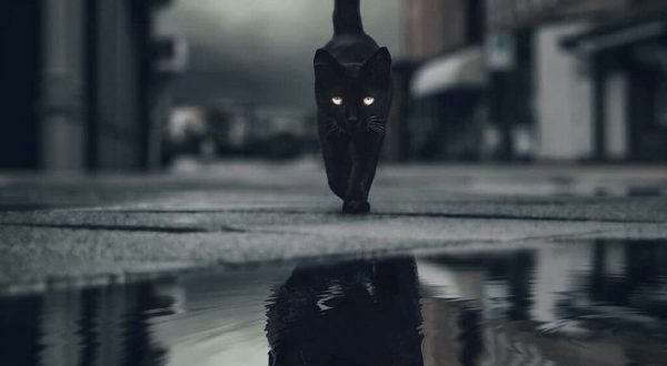 AccaddeOggi 12 Giugno 2019