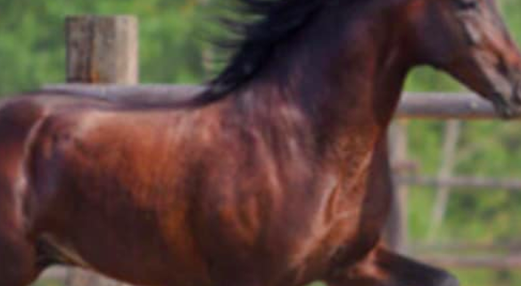 #salottoculturale – tema del mese di Settembre 2019