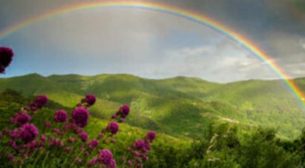 #salottoculturale – tema del mese di Novembre 2019