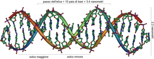 AccaddeOggi 28 Febbraio
