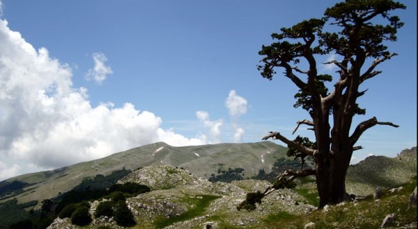 Basilicata, Osservatorio Mercure: “È tra le zone meno inquinate d’Europa”