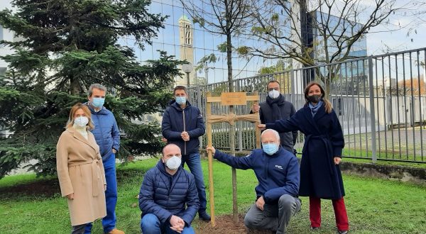 Snam, piantato il primo albero di una foresta di 3 mila piante