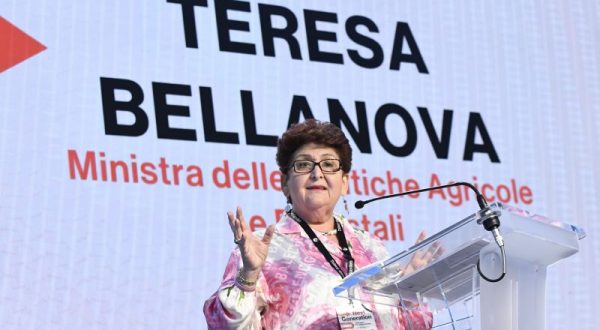Governo, Bellanova “Se cade ora dipende da Conte, aspettiamo risposte”
