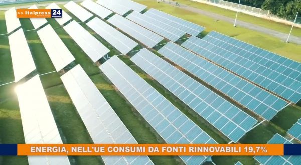 Tg Economia – 19/12/2020