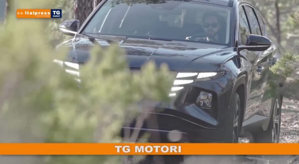 Tg Motori 26/12/2020