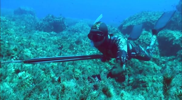 Matteoli “Anno durissimo, ora abbiamo tante idee da sviluppare”