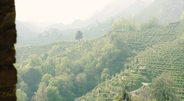 L’unione nazionale delle Pro Loco celebra “Le Colline del Prosecco”