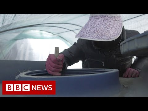 South Korea’s ‘hidden’ migrant workers – BBC News