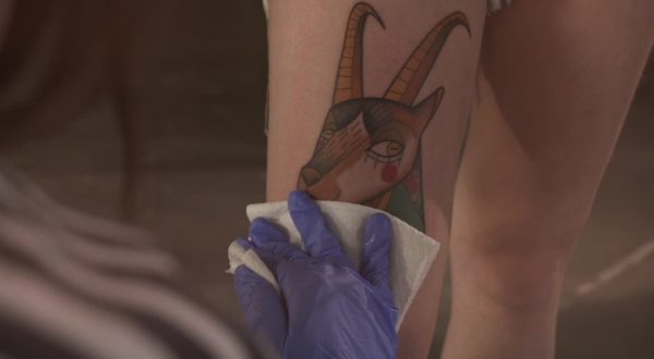 Bepanthenol Tattoo ed ENPA insieme per la salvaguardia di specie animali a rischio estinzione