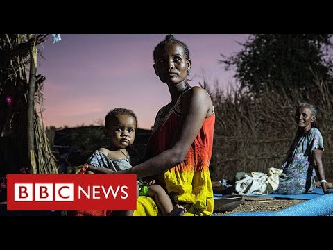 UN warns of famine in northern Ethiopia – BBC News