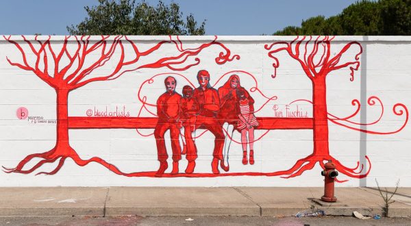 Palermo, street art per sensibilizzare su anemia falciforme e talassemia