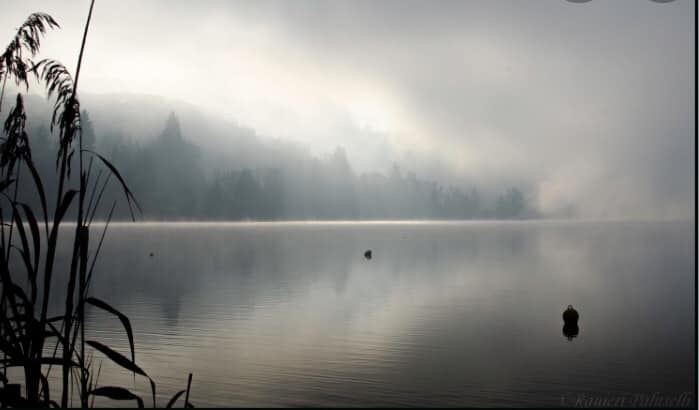 Tema Del Mese Luglio 2021