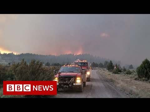 US Bootleg Fire burns area larger than Los Angeles  – BBC News