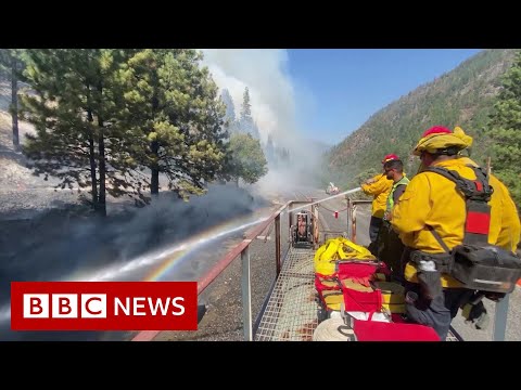 Firefighters battle blaze from top of moving train – BBC News