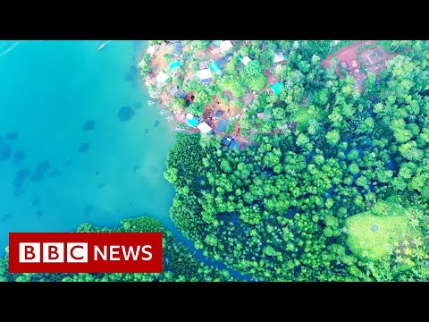 The battle to mine Indonesia’s ‘gold island’ Sangihe – BBC News