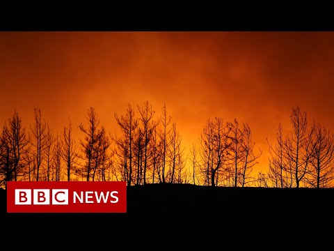 Wildfires threaten Turkey coastal resorts – BBC News