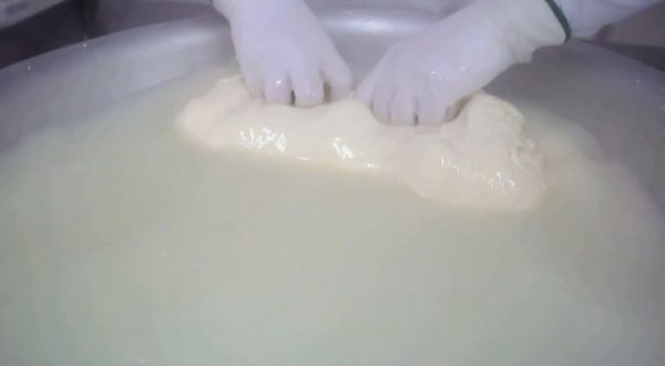 L’agroalimentare italiano tiene sui mercati esteri