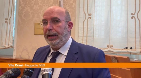 M5S, Crimi: “Nuovo sistema di voto per gli iscritti”