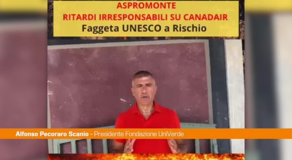 Incendi in Aspromonte, Pecoraro Scanio: “Canadair e Governo in ritardo”