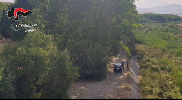 Incendi, allevatori appiccano fuoco sui Nebrodi. Arrestati due piromani