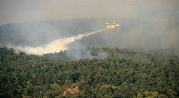 Incendi, in Italia dall’inizio del 2021 bruciati 158mila ettari