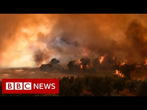 Eight dead as wildfires engulf Turkey resorts  – BBC News