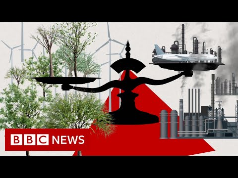 Can carbon offsetting help the planet? – BBC News
